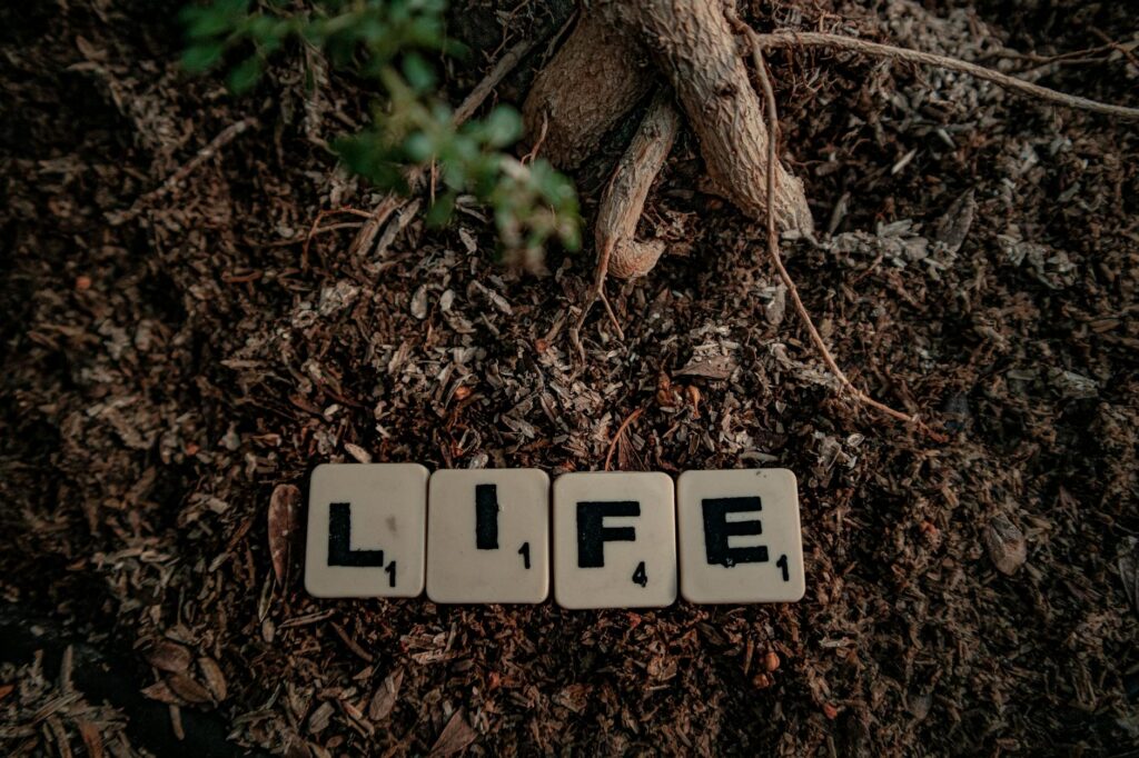 how to use life insurance to fund a buy-sell agree - Life Insurance for Buy-Sell Agreements: A Complete Guide